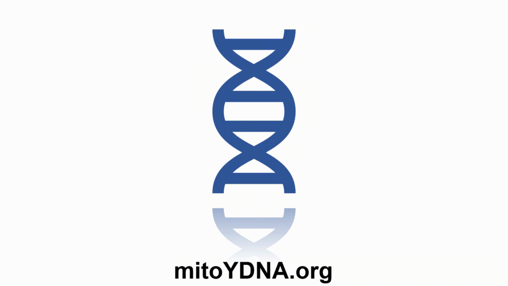 www.mitoYDNA.org
