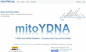 mitoYDNA Home Page